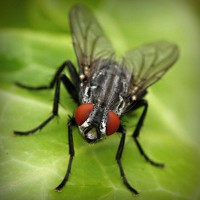 /album/jabonisa-blog-jabones-de-autor/photolia-a01-jpg/