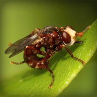 /album/jabonisa-blog-jabones-de-autor/photolia-a06-jpg/