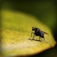 /album/jabonisa-blog-jabones-de-autor/photolia-a07-jpg/